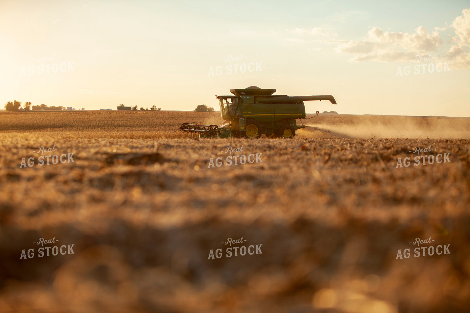 Harvest 1818