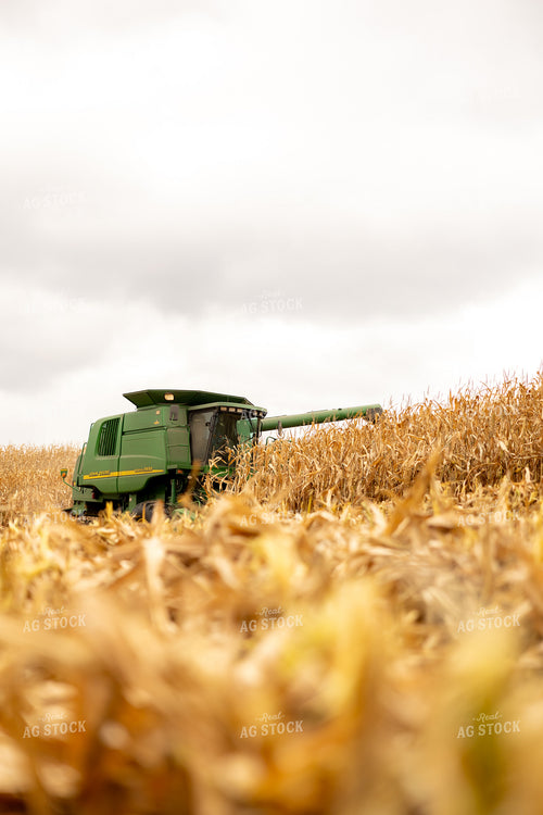 Corn Harvest 194087