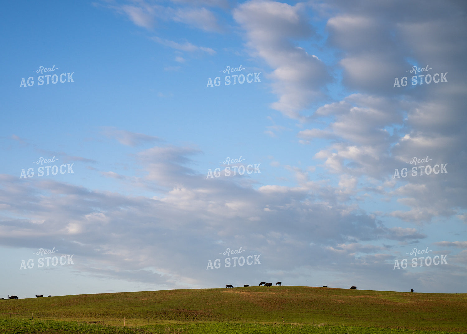 Ranch Scene 65602