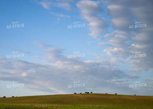 Ranch Scene 65602