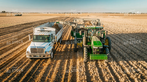 Onion Harvest 56710