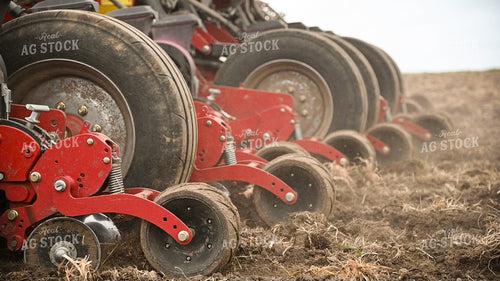 Planting into Tilled Cover Crops 25178