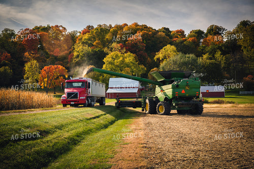 Soybean Harvest 153025