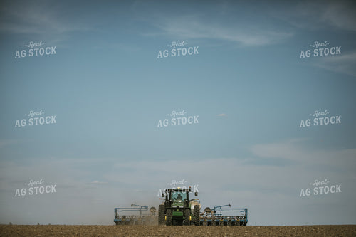 Planting on a Sunny Day 4143