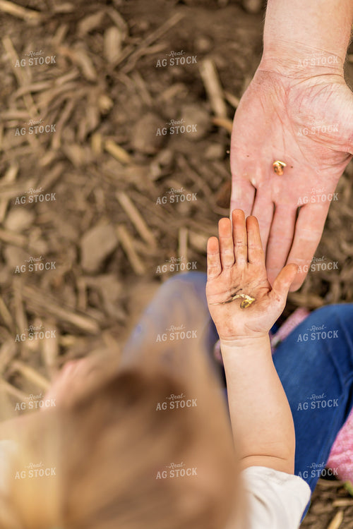 Farmer and Daughter Checking Soybeans 93299