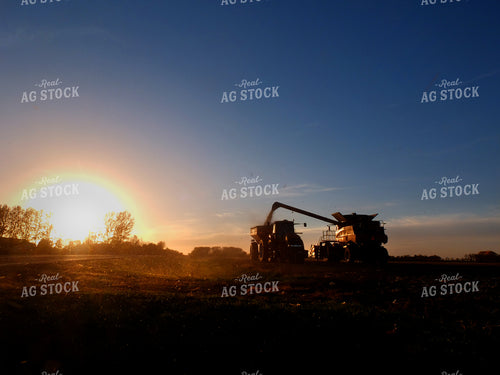 Corn Harvest 154040