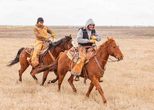 Ranchers on Horseback 231077