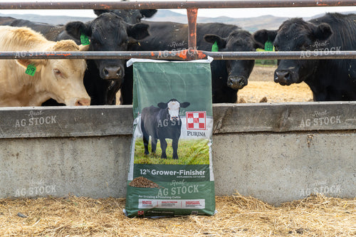 Bag of Cattle Feed 65449