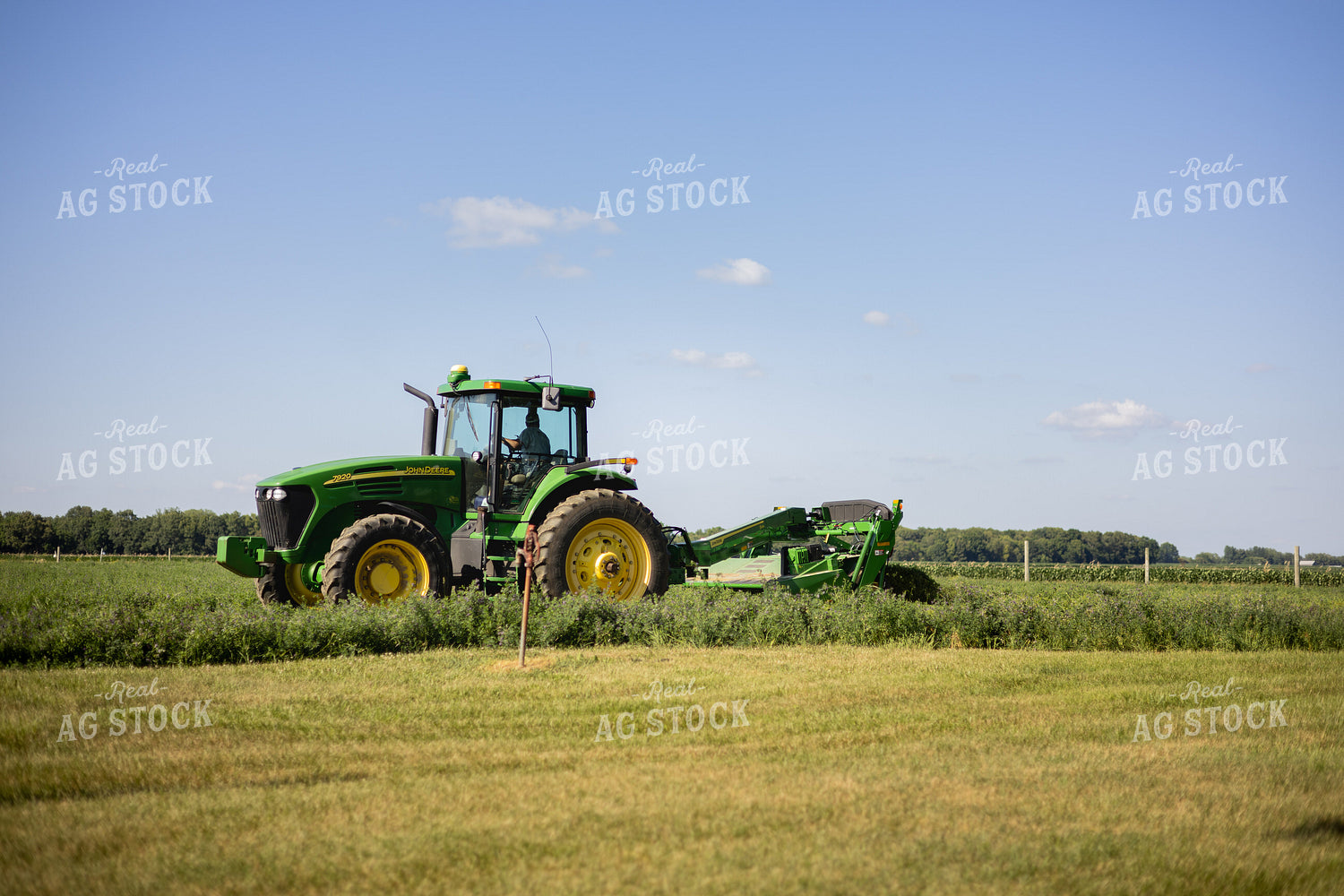 Mowing Hay 281009