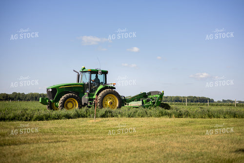 Mowing Hay 281009