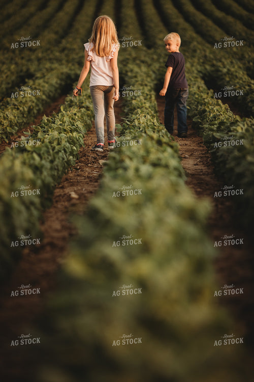 Farm Kids in Soybean Field 4572