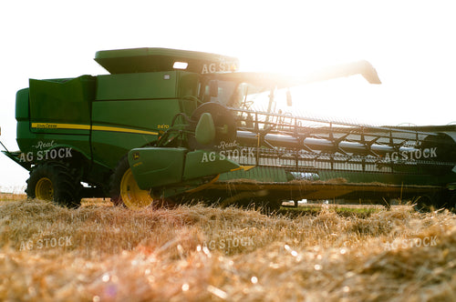 Wheat Harvest 103030