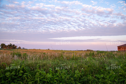 CRP Land 25023