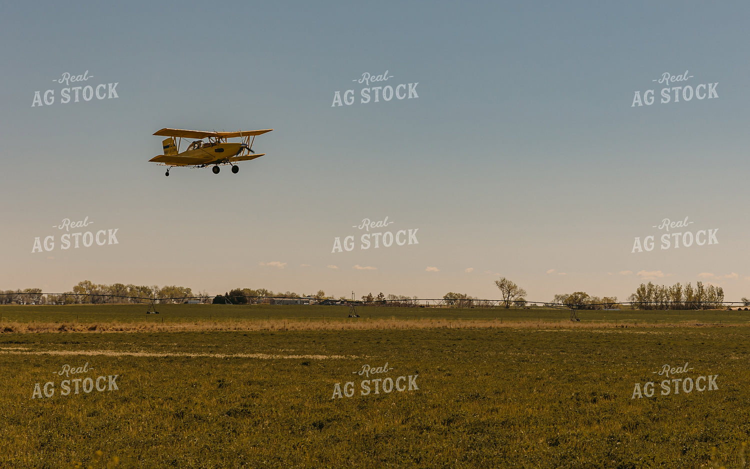 Crop Duster in Blue Sky 61081