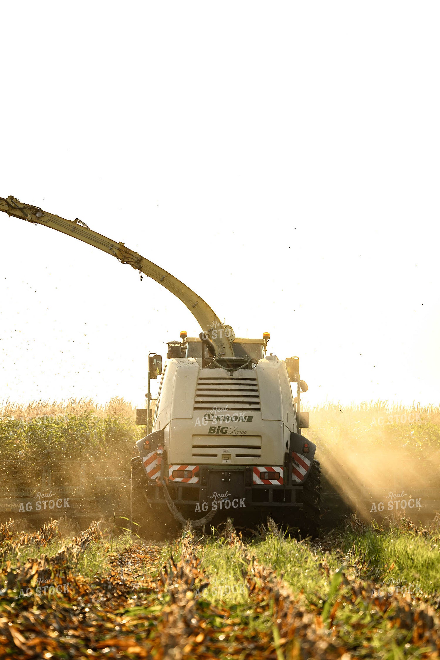 Chopping Corn Silage 152959
