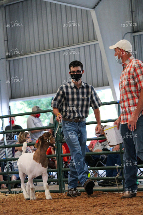 4H Goat Show with Masks 52040