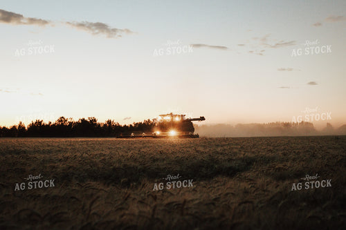 Wheat Harvest 83094