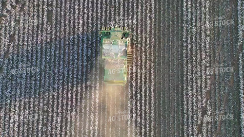 Overhead of Cotton Harvest 149063