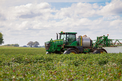 Spraying Cotton 79170