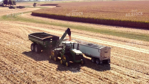 Corn Harvest 287038