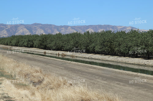 Irrigation Ditch at Orchard 102148