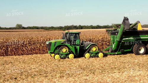 Corn Harvest 287045