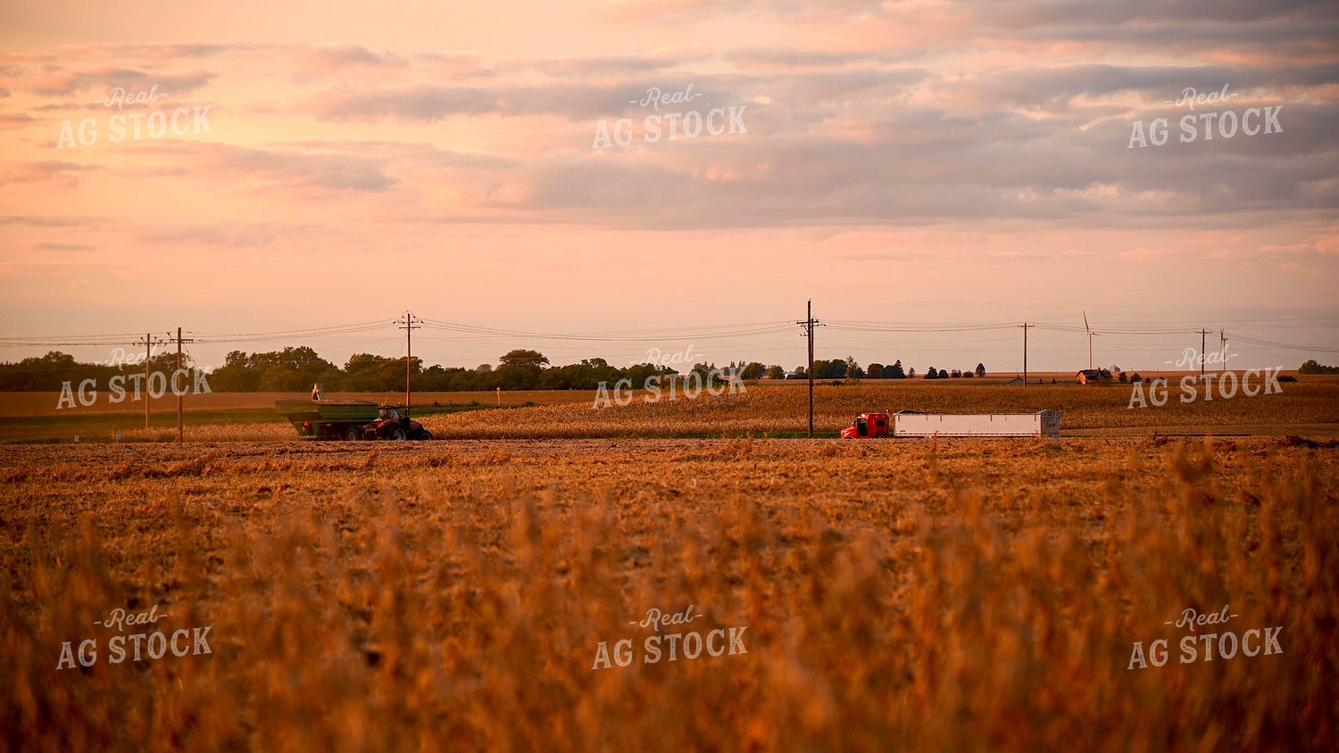 Grain Cart Driving to Semi Truck in Soybean Field at Sunset 25738