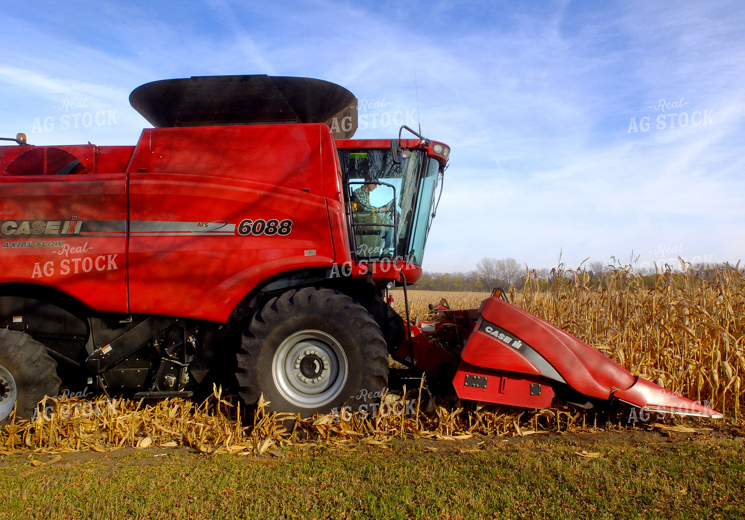 Corn Harvest 154037