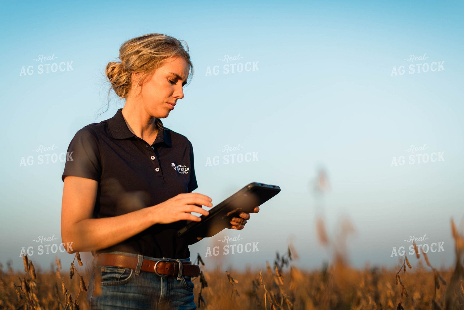 Female Agronomist on Tablet in Field 8331