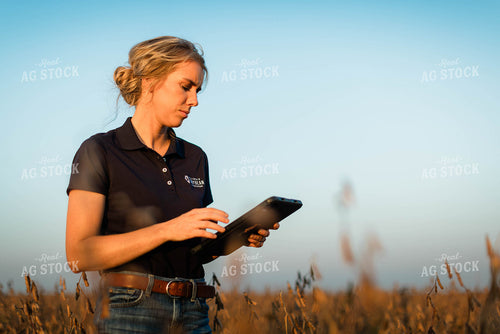 Female Agronomist on Tablet in Field 8331