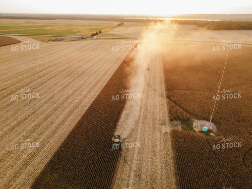 Aerial of Corn Harvest 115340