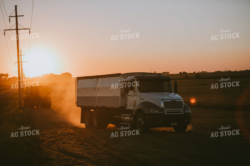 Loaded Truck Leaving Soybean Field Sunset 4757
