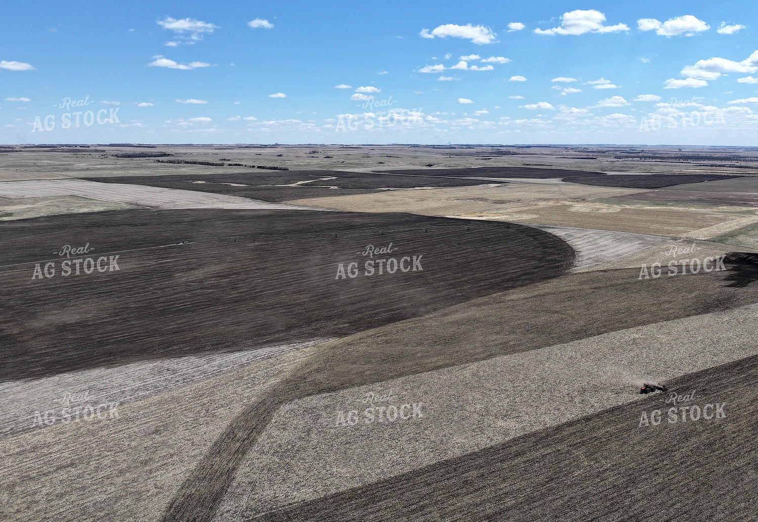 Vertical Tillage 141262