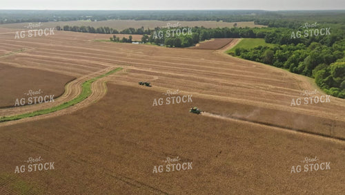 Corn Harvest 92049