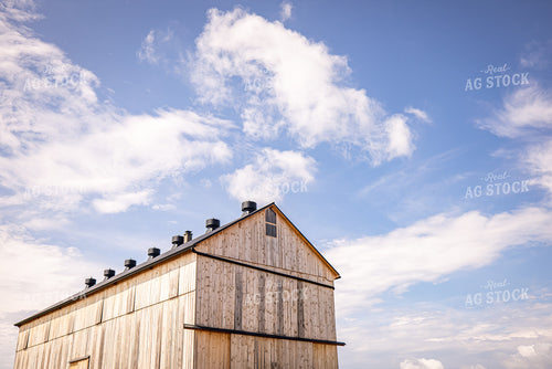 Barn 270185