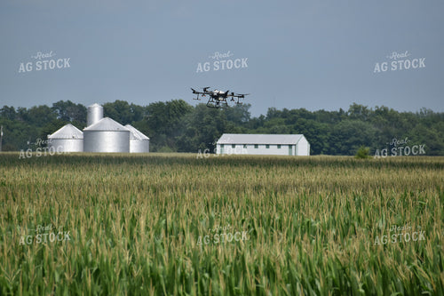 Drone Sprayer Above Corn 84088