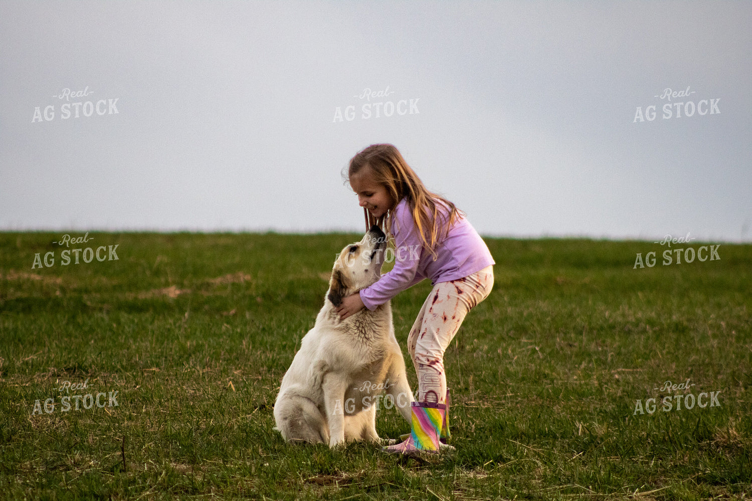 Farm Kid with Farm Dog 214106