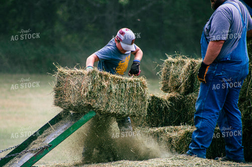 Harvesting Hay 214080