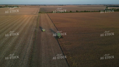 Corn Harvest 115186