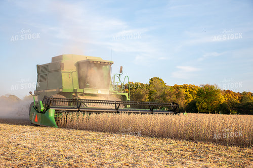 Soybean Harvest 50293
