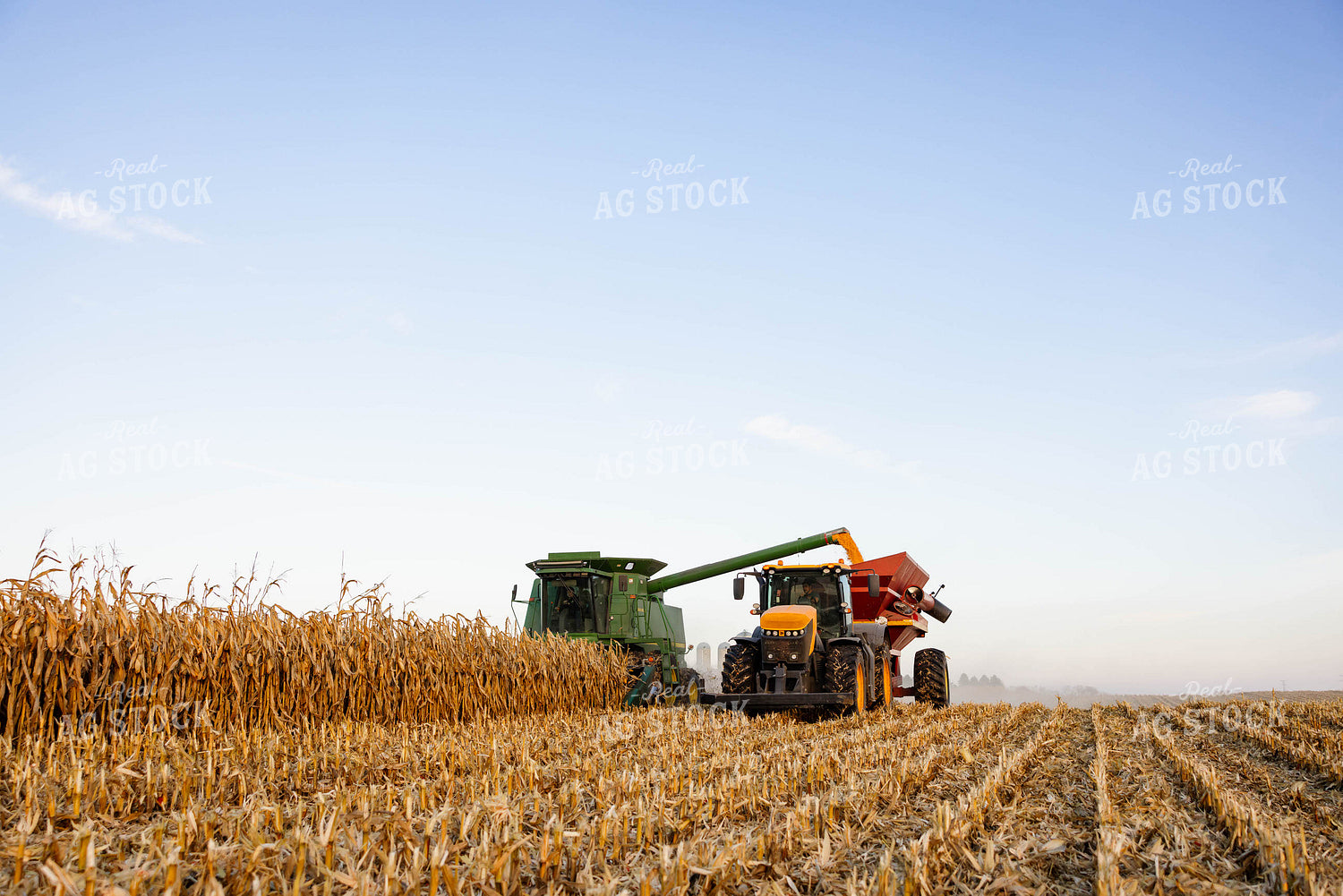 Corn Harvest 152358