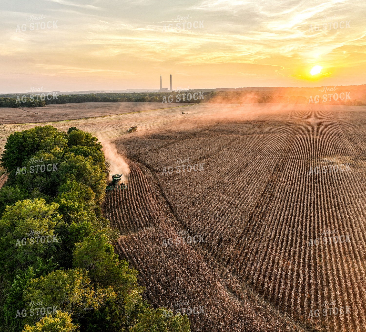 Aerial of Corn Harvest 128105