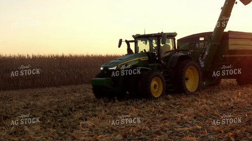 Corn Harvest 287020