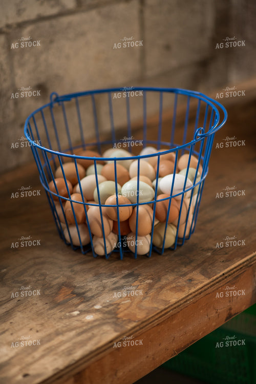 Eggs 76609