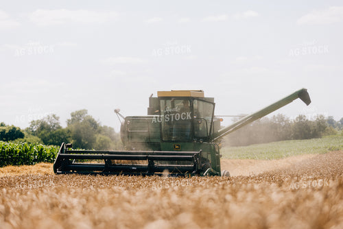 Wheat Harvest 178030