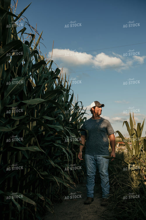 Farmer Crop Scouting Corn 3160