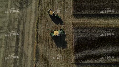 Corn Harvest 115189