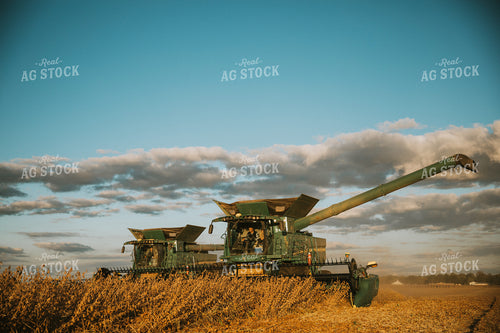 Soybean Harvest 6848