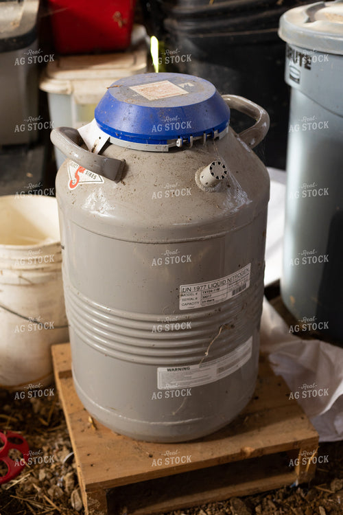 Bull Semen in Liquid Nitrogen Tank 52399