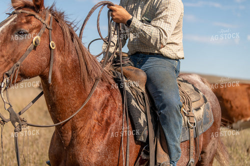 Rancher on Horseback 212016